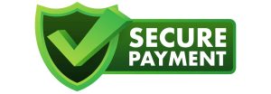 Secure payment icon