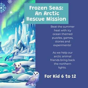 Arctic Rescue Mission - Summer Camp