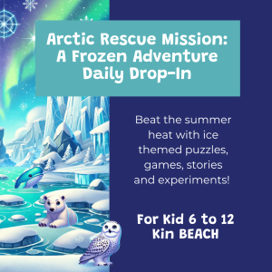 Arctic Rescue Mission - Summer Camp Daily Drop in